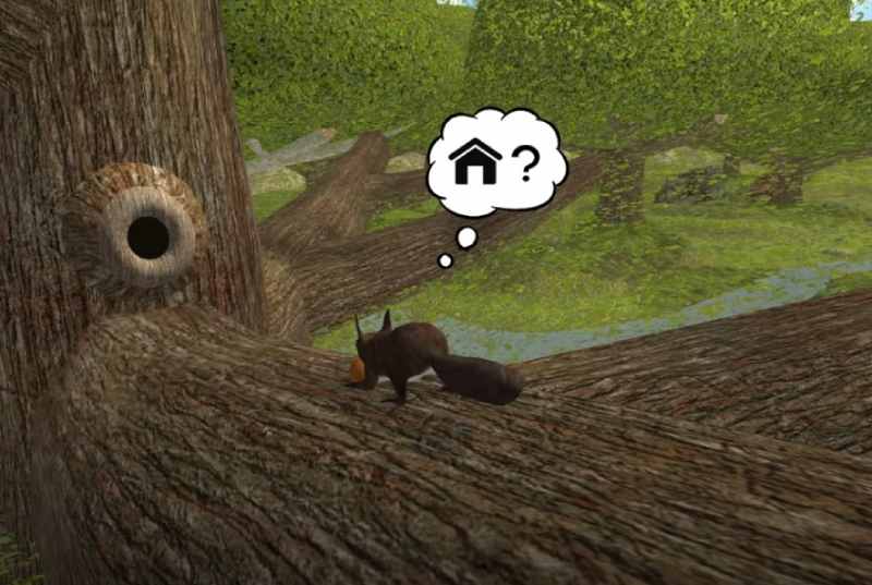 Squirrel Simulator