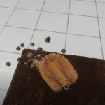 New Carpet Cleaning Simulator Codes (2026): Unlock Free In-Game Rewards